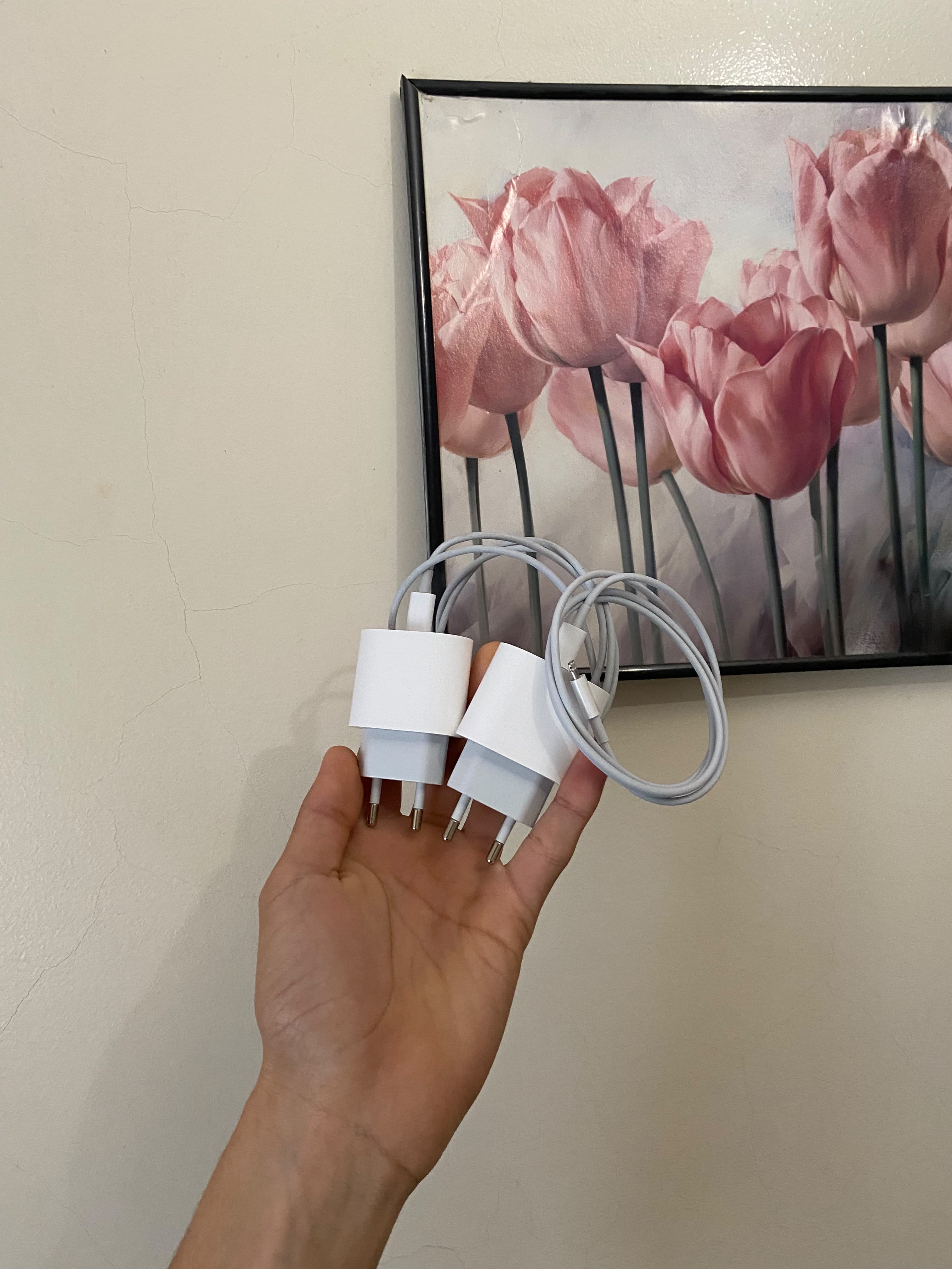 Chargeur Apple USB-C 20W occasion avec câble Maroc